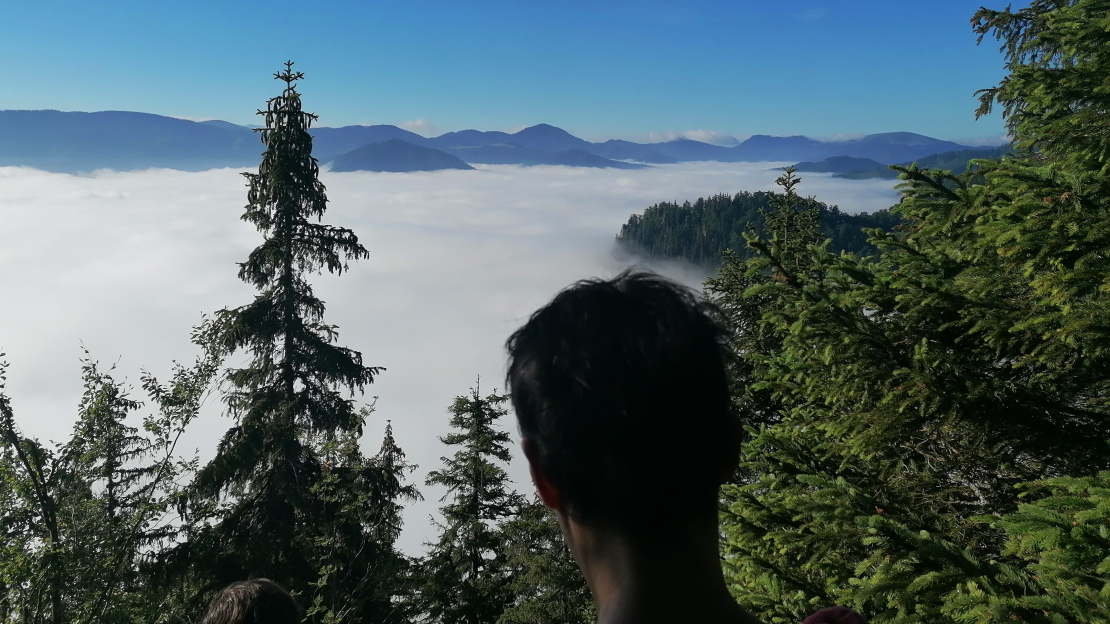 Nagy Fátra , őserdei túrák