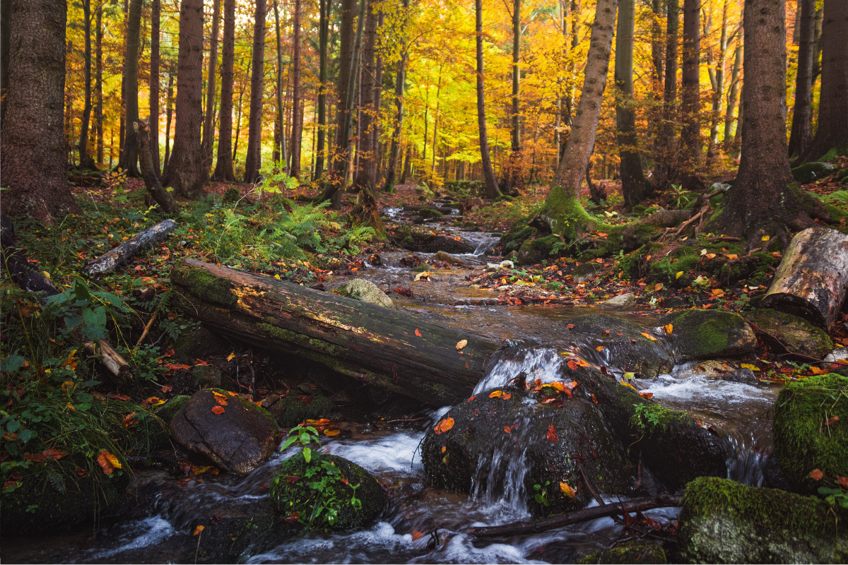 Magas-Tátra túra, az elképesztő kilátás garantált