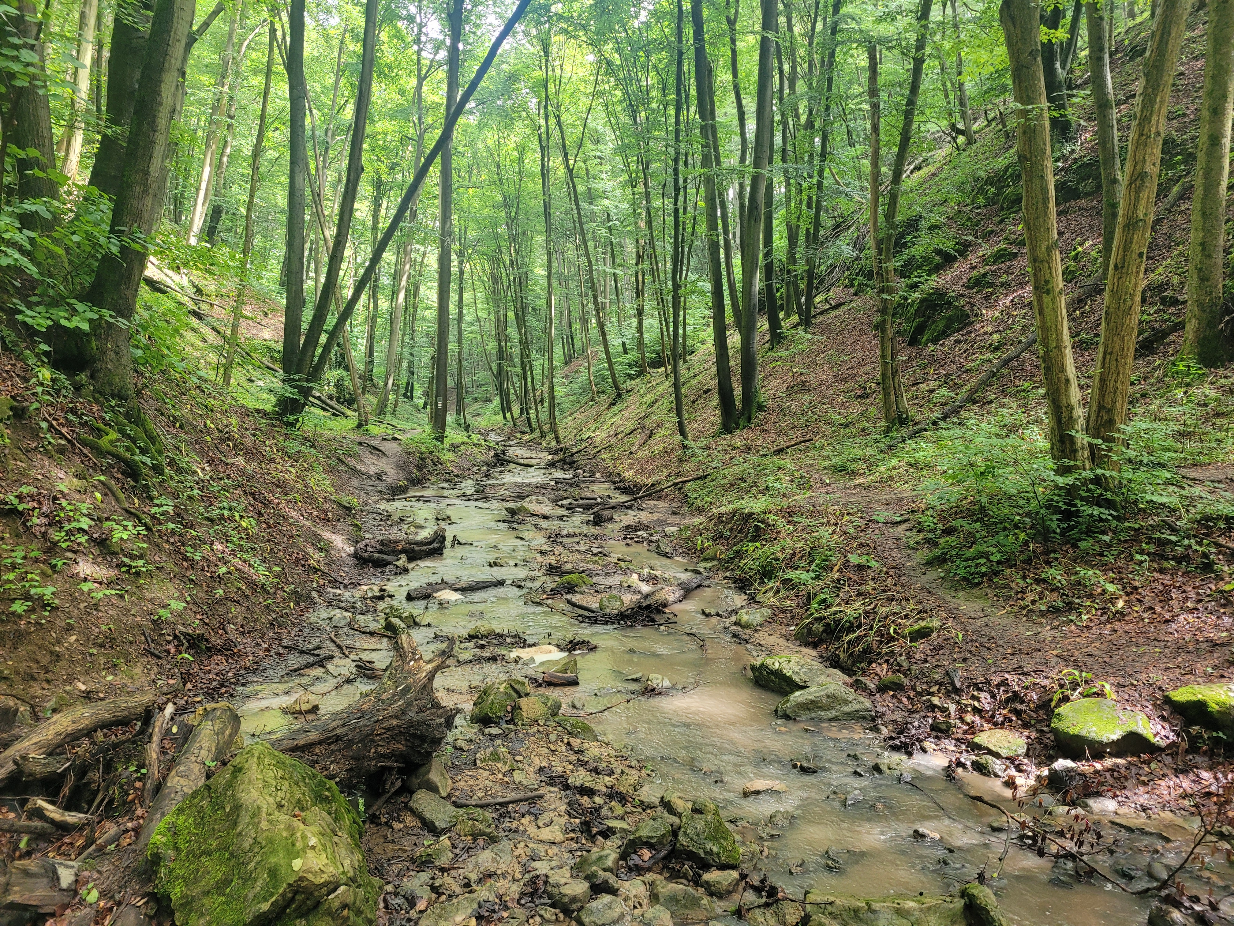 Mecseki túra a vízesések birodalmában