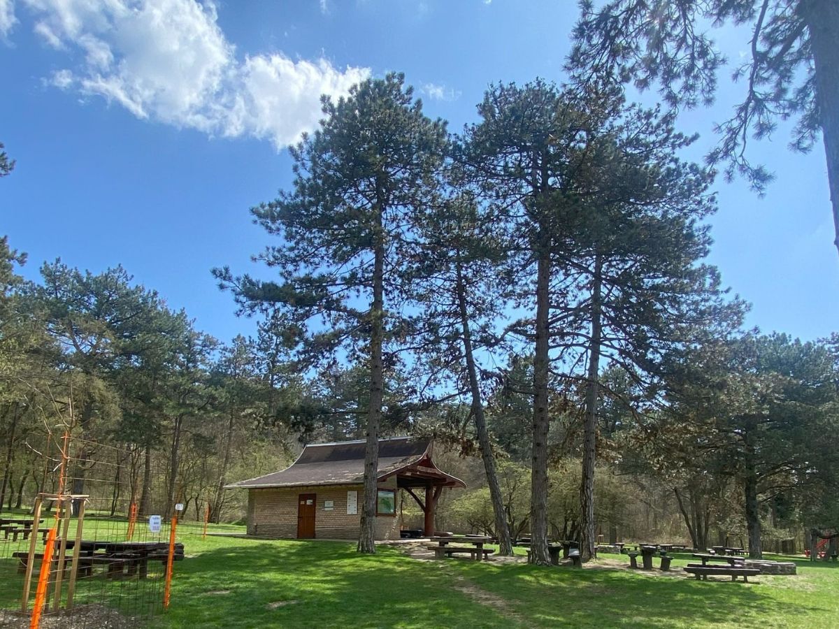 honlap_galéria_1200x900_27a