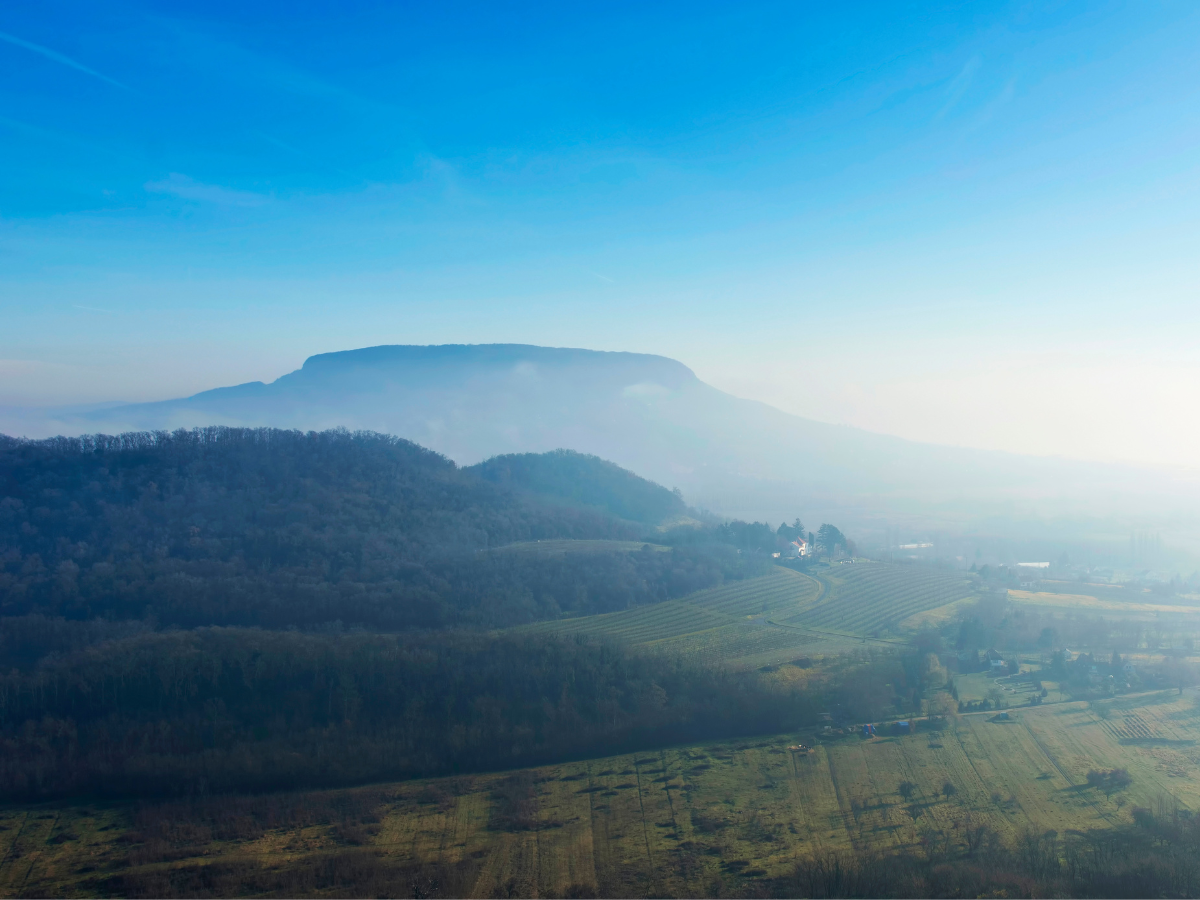 honlap_galéria_1200x900555
