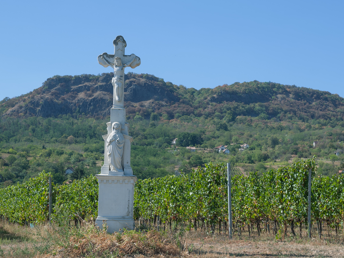 honlap_galéria_1200x900_27a