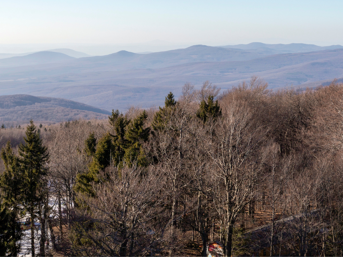 honlap_galéria_1200x90055