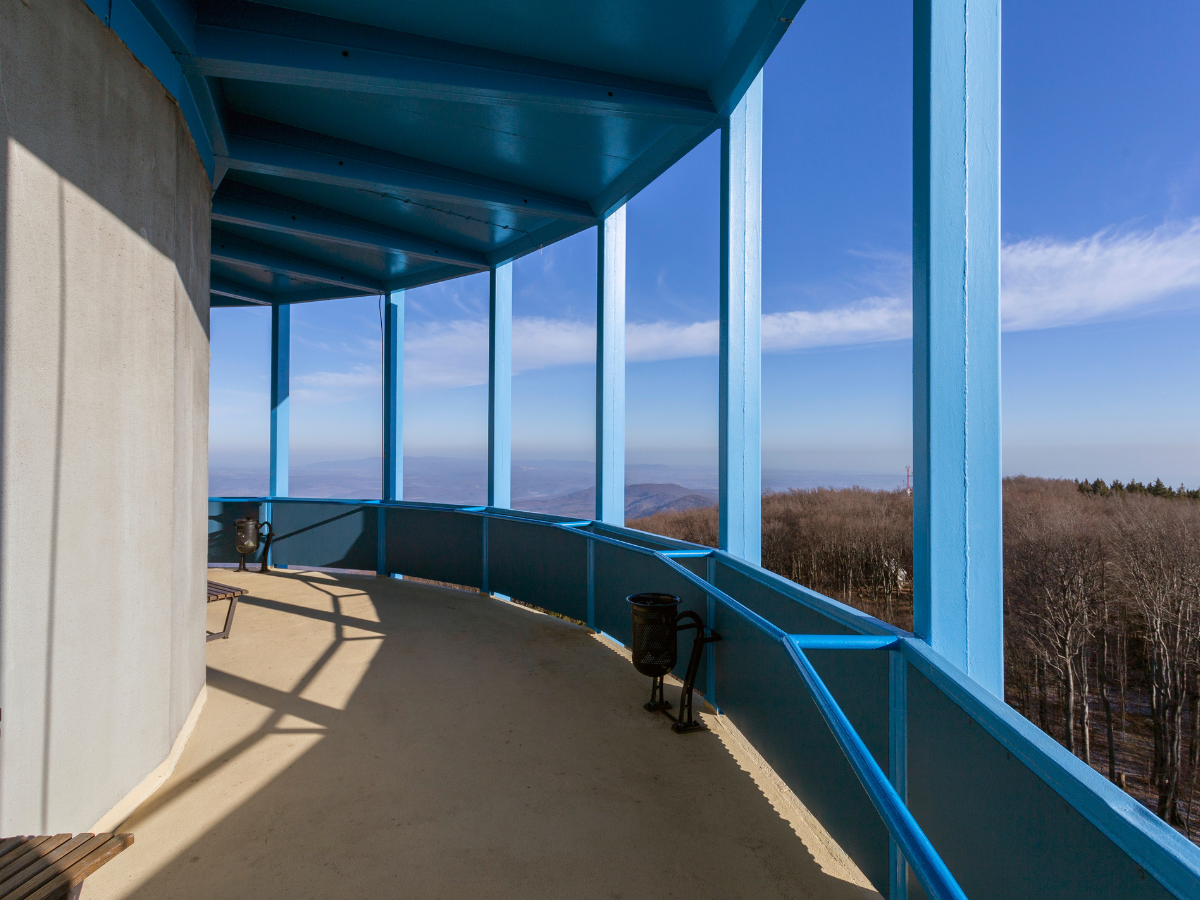 honlap_galéria_1200x900555