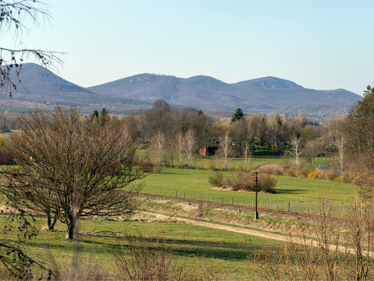 honlap_galéria_1200x90055