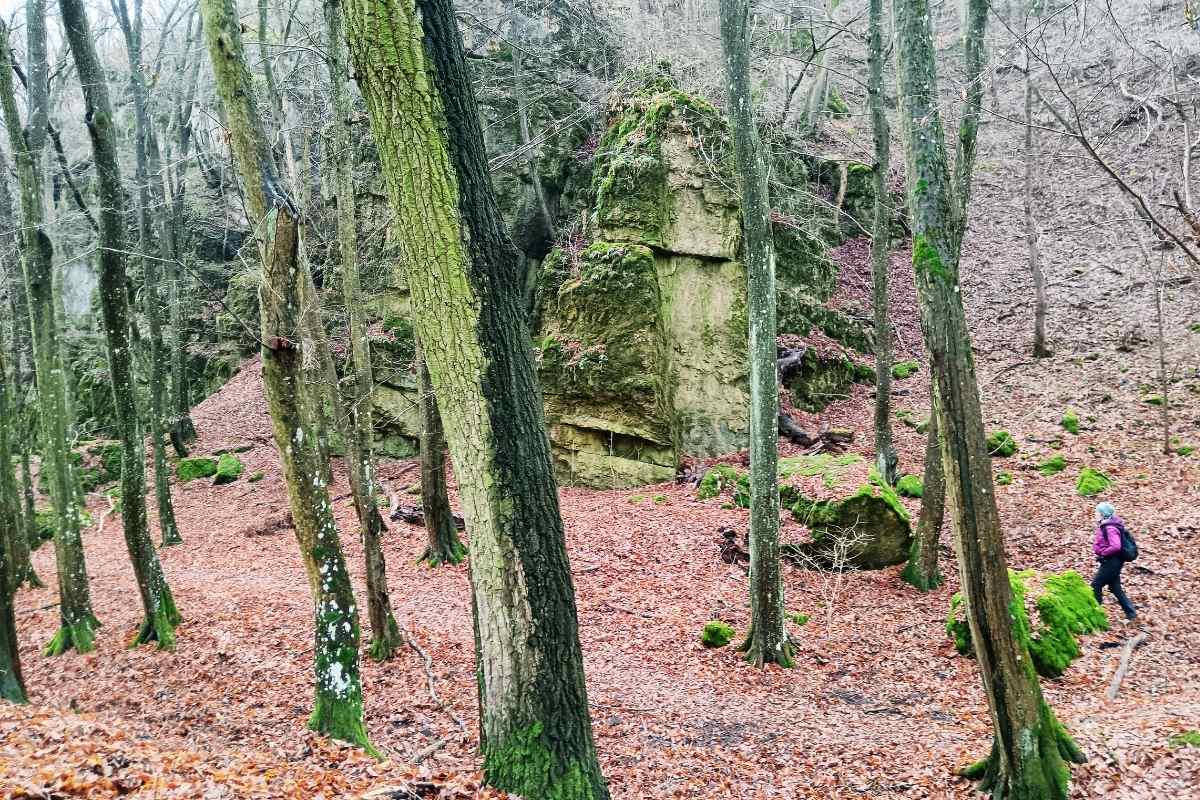 honlap_galéria - 2023-09-23T224039