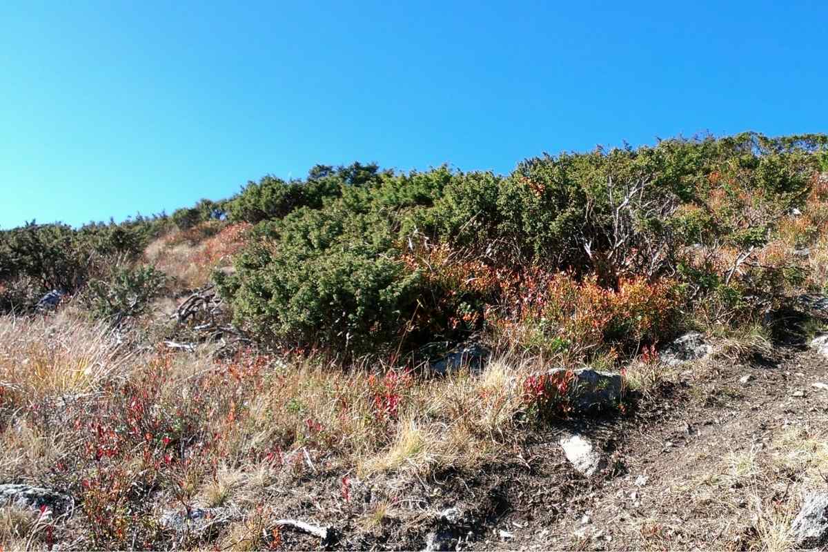 Az elfelejtett Király-erdő kincsei és a Vigyázó csúcsa