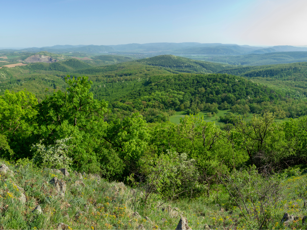 honlap_galéria_1200x90055