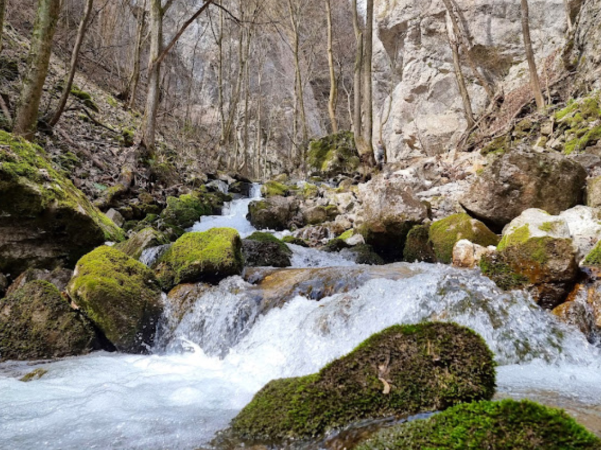 honlap_galéria_1200x90055