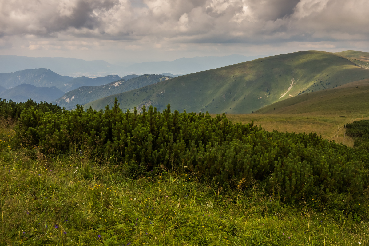 Nagy fátra hegygerinc