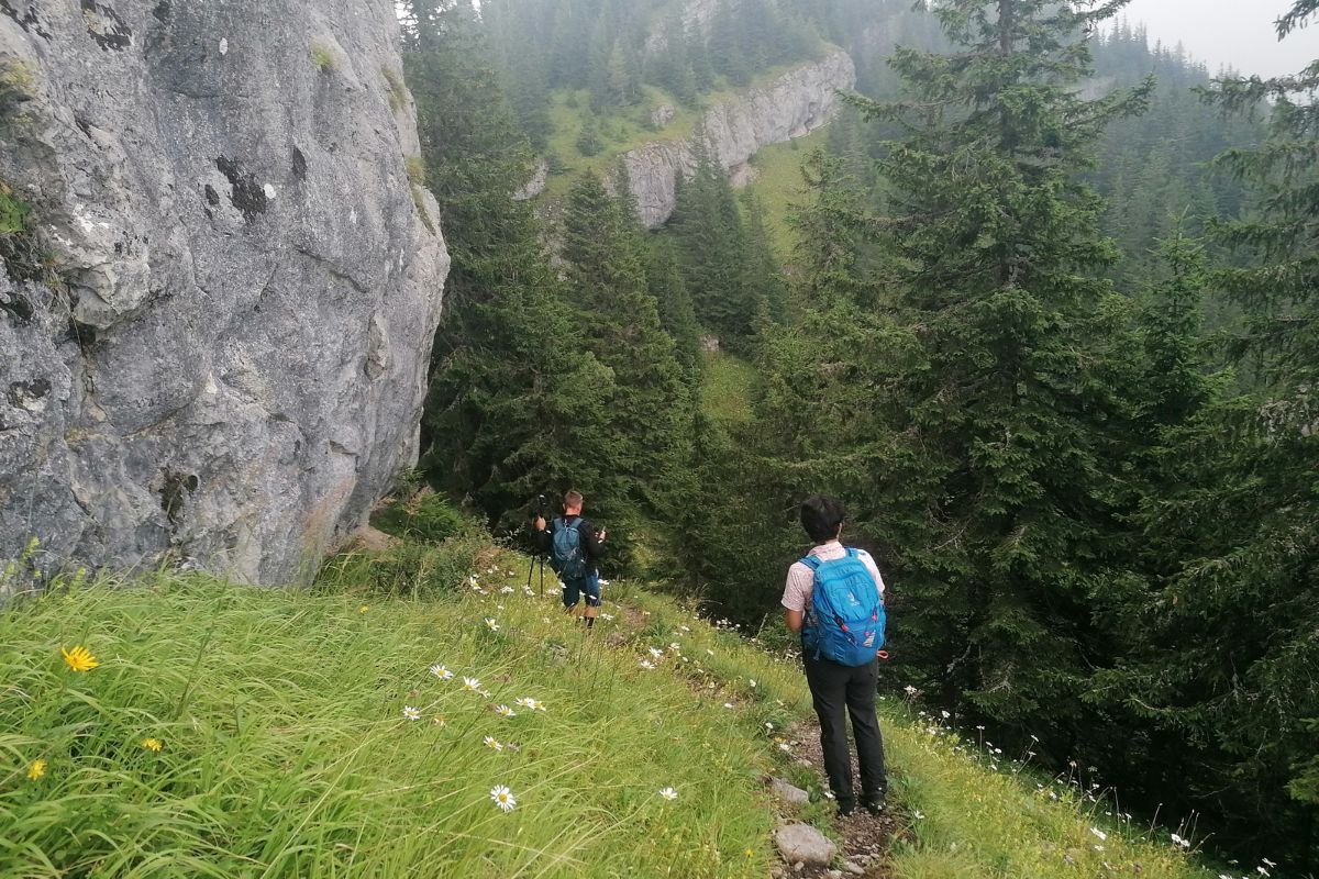 honlap_galéria_104 (10)