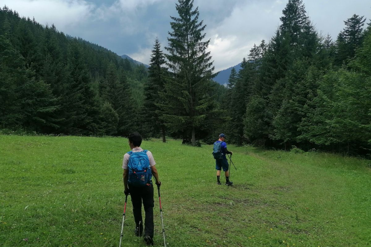 honlap_galéria_104 (11)