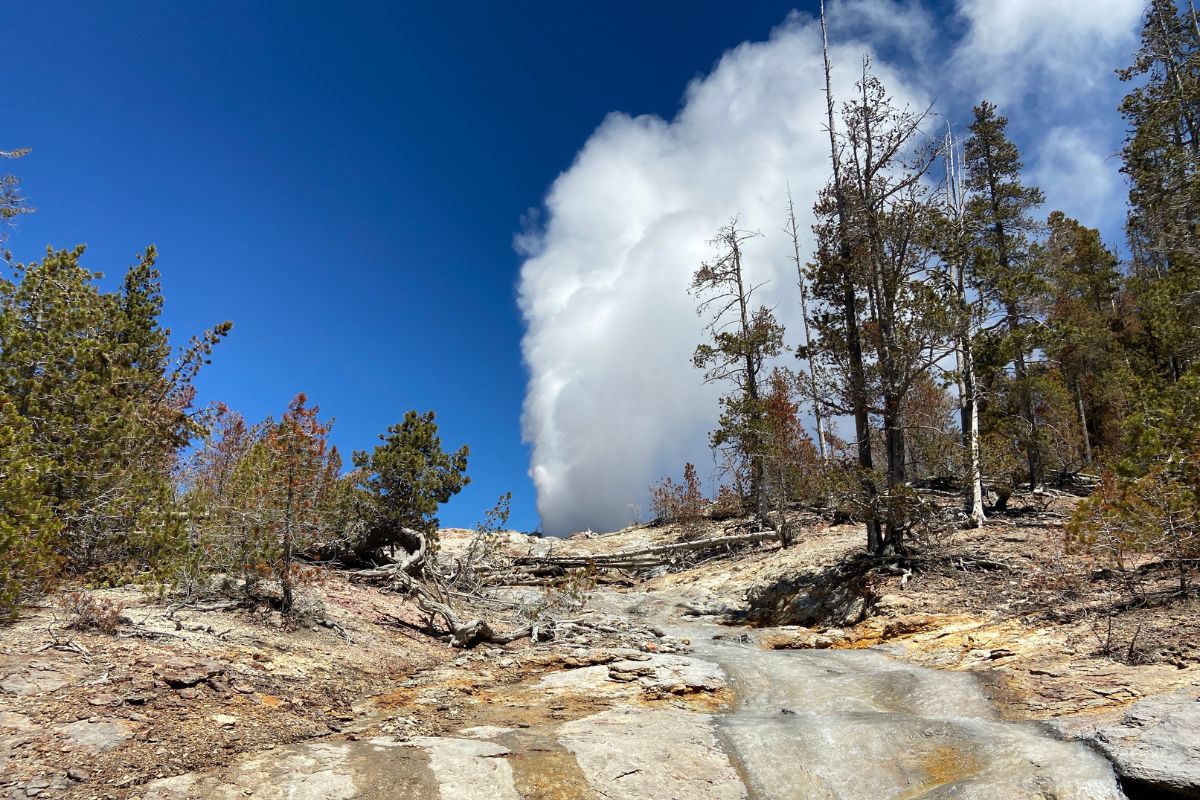 Yellowstone Nemzeti Park