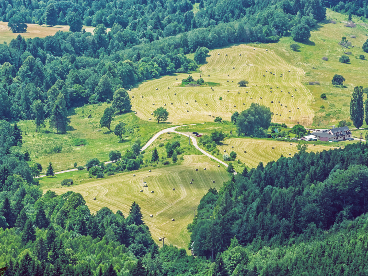 Vepor-hegységi panorámatúra: keressük meg az Ipoly forrását Szlovákiában Vepor-hegységi panorámatúra: keressük meg az Ipoly forrását Szlovákiában