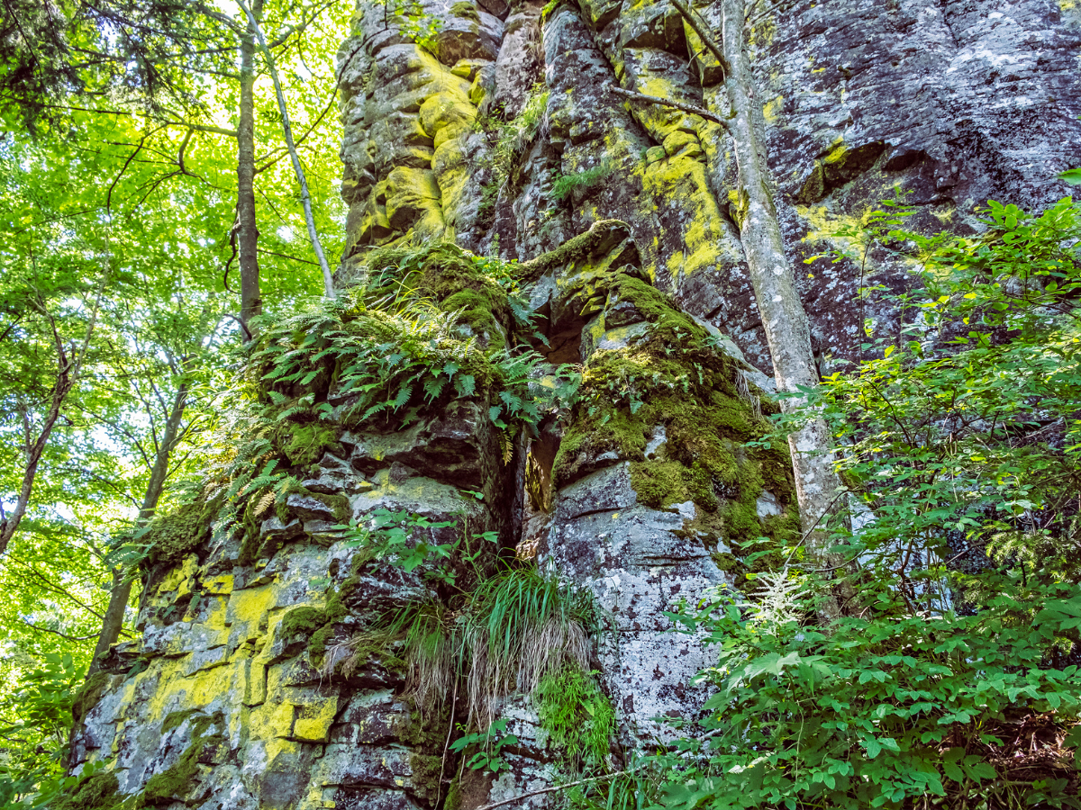 Vepor-hegységi panorámatúra: keressük meg az Ipoly forrását Szlovákiában Vepor-hegységi panorámatúra: keressük meg az Ipoly forrását Szlovákiában