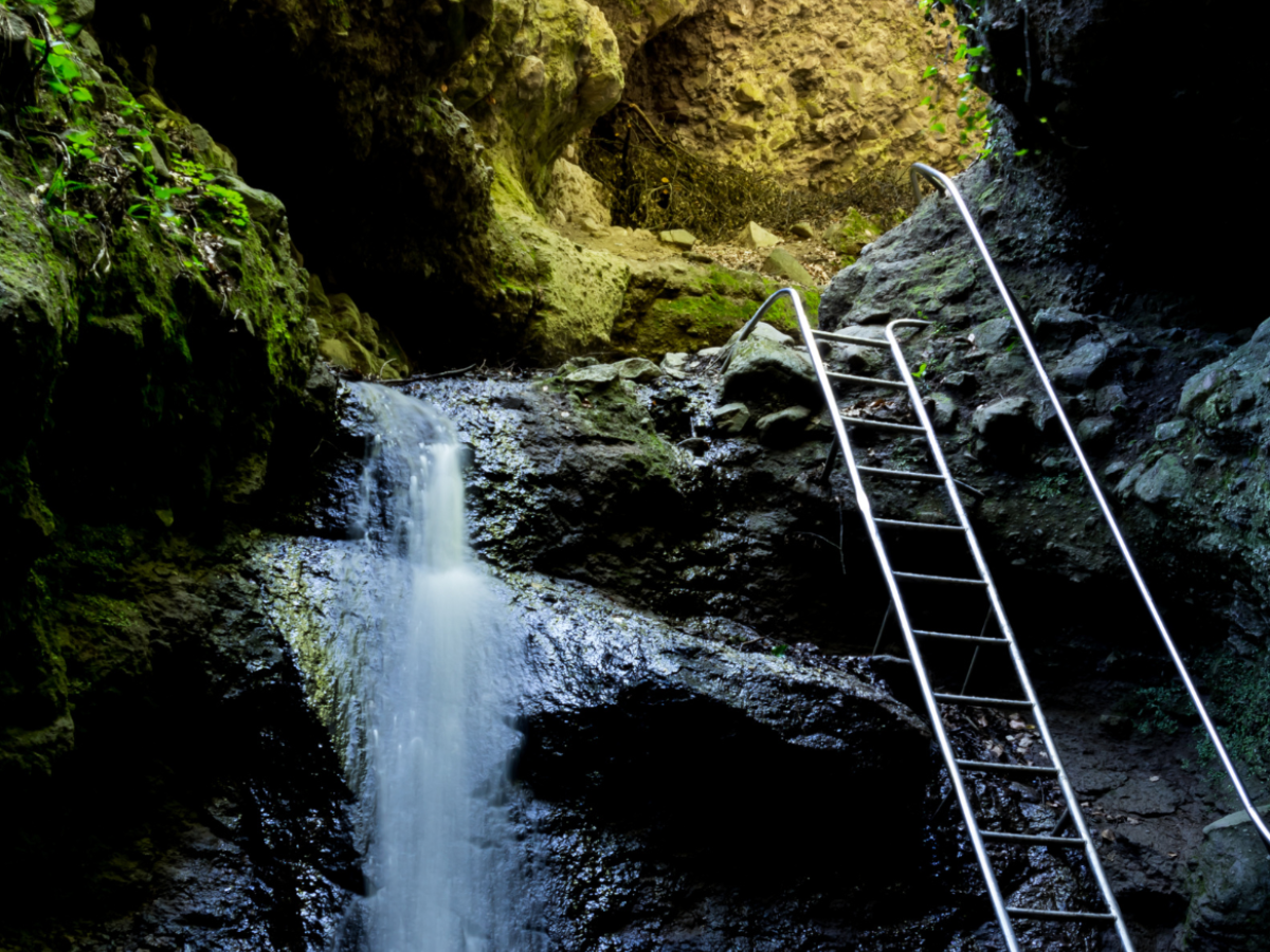 honlap_galéria_1200x900555