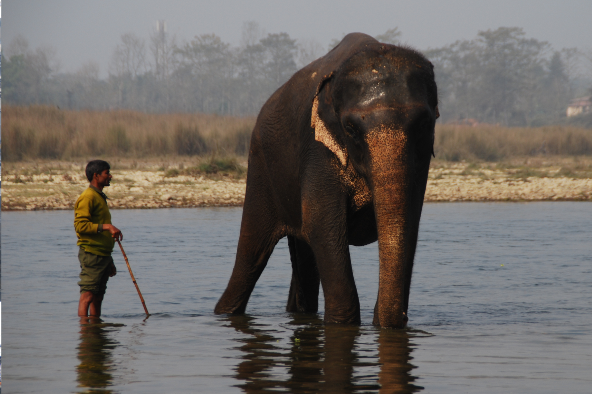 honlap_galéria - 2023-12-10T000513