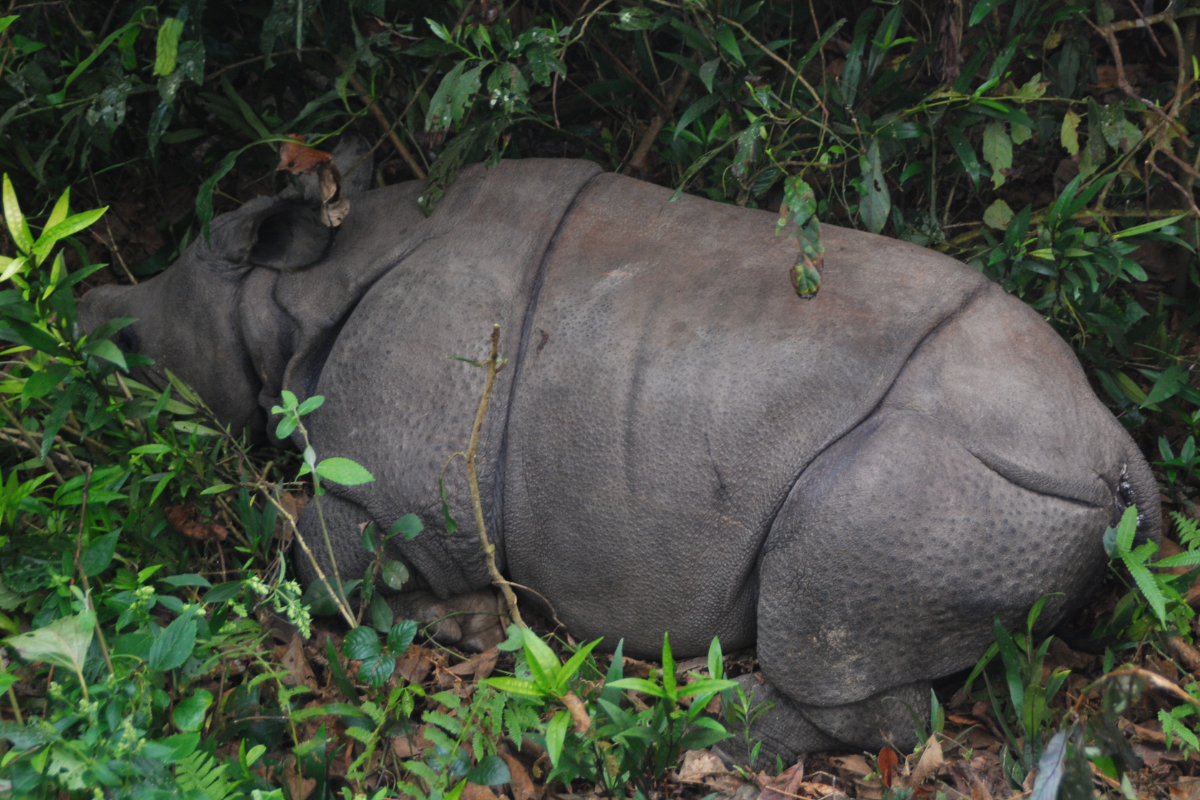 honlap_galéria - 2023-12-10T000625