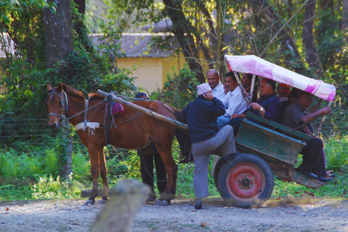 honlap_galéria - 2023-12-10T000932