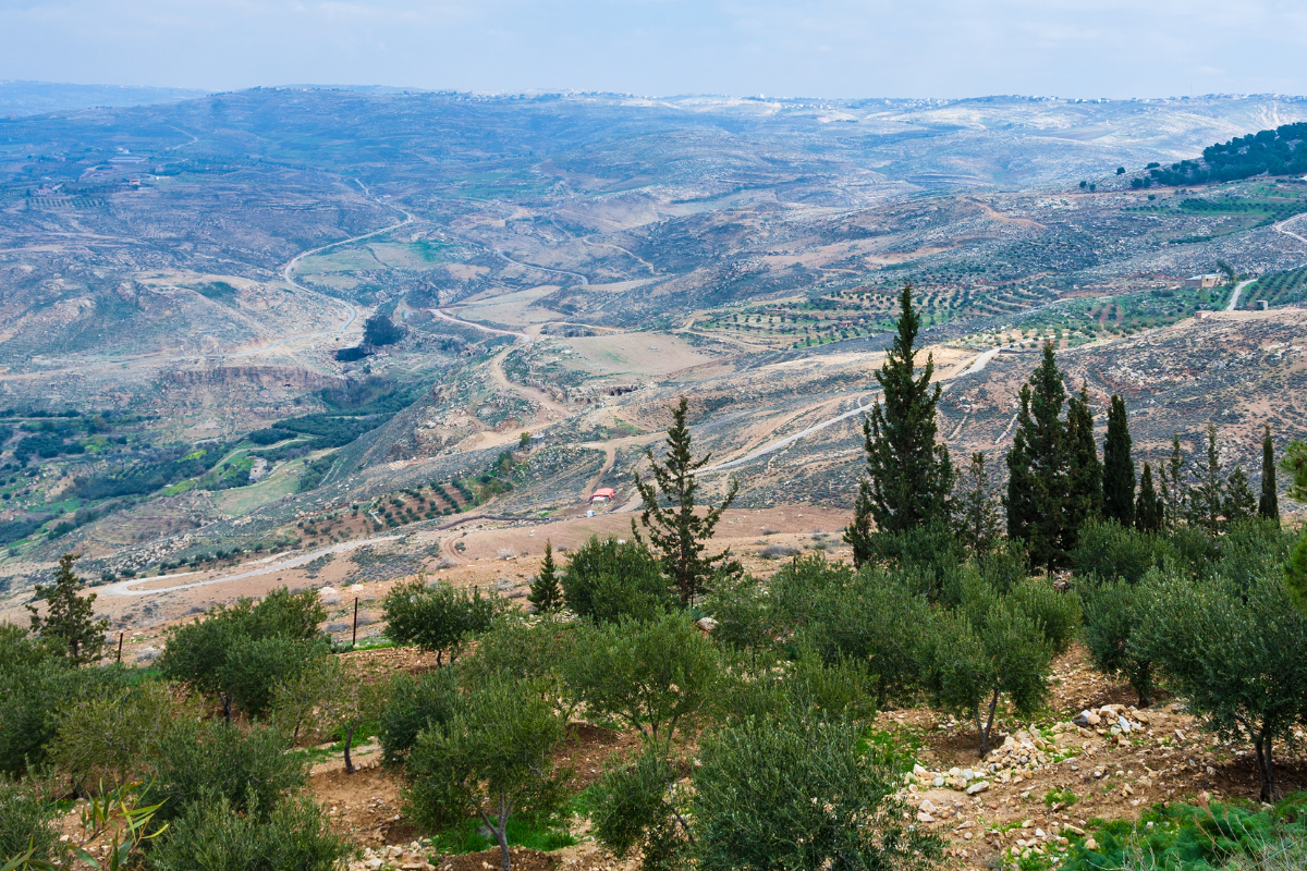 honlap_galéria - 2023-12-22T204318