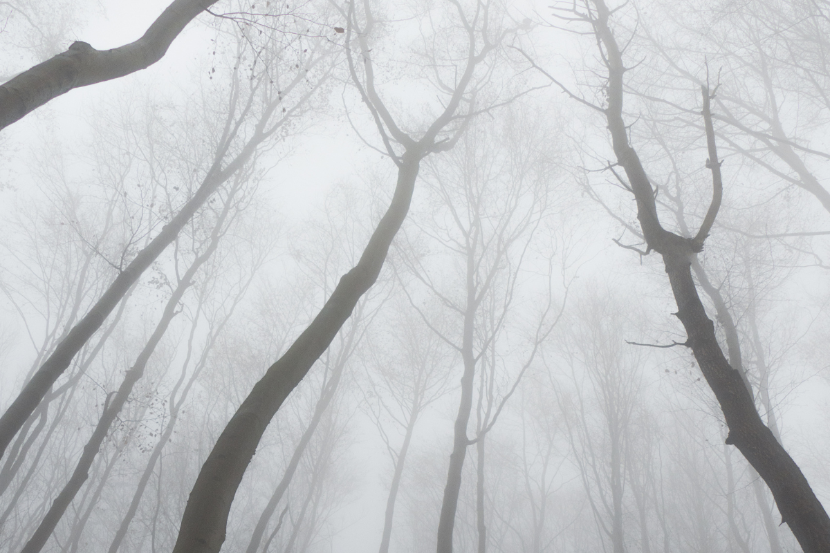 Mecseki túra a vízesések birodalmában