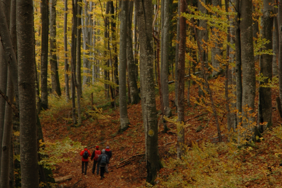Pádis túra egy szuper csapattal