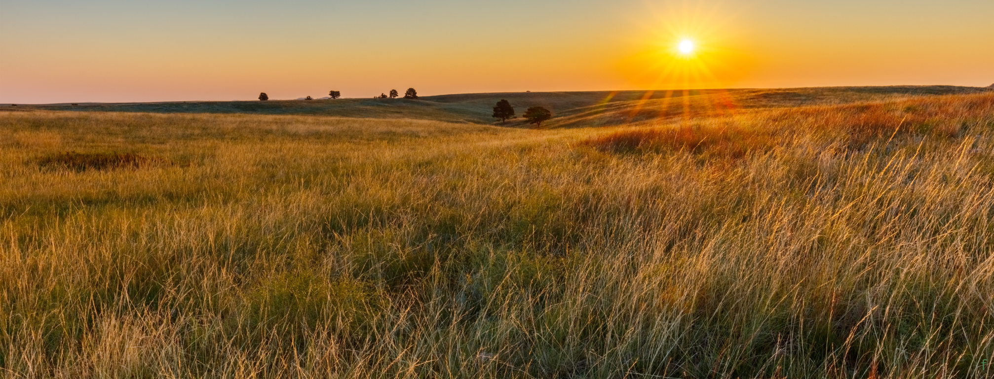 Kiskunsági Nemzeti Park - A legkisebb gyöngyszem Kiskunsági Nemzeti Park - A legkisebb gyöngyszem