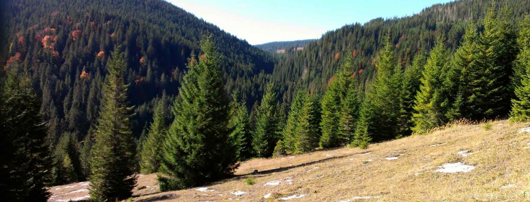 Az elfelejtett Király-erdő kincsei és a Vigyázó csúcsa