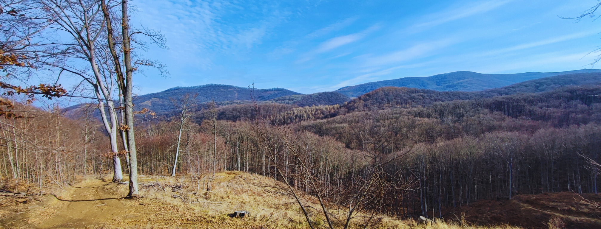 Börzsönyi ősvulkánok nyomában Börzsönyi ősvulkánok nyomában