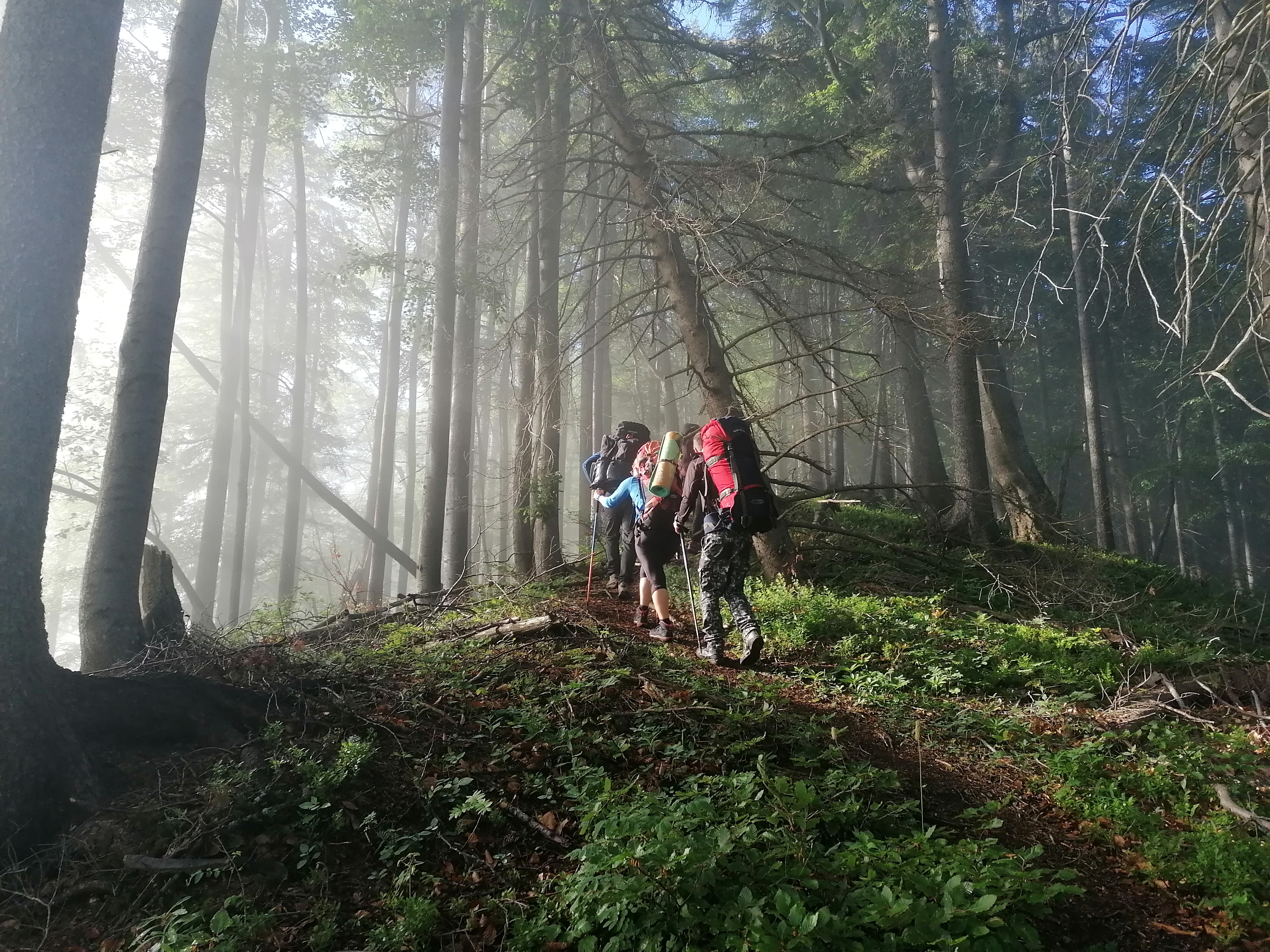 Túra a nagy fátra rengetegében,