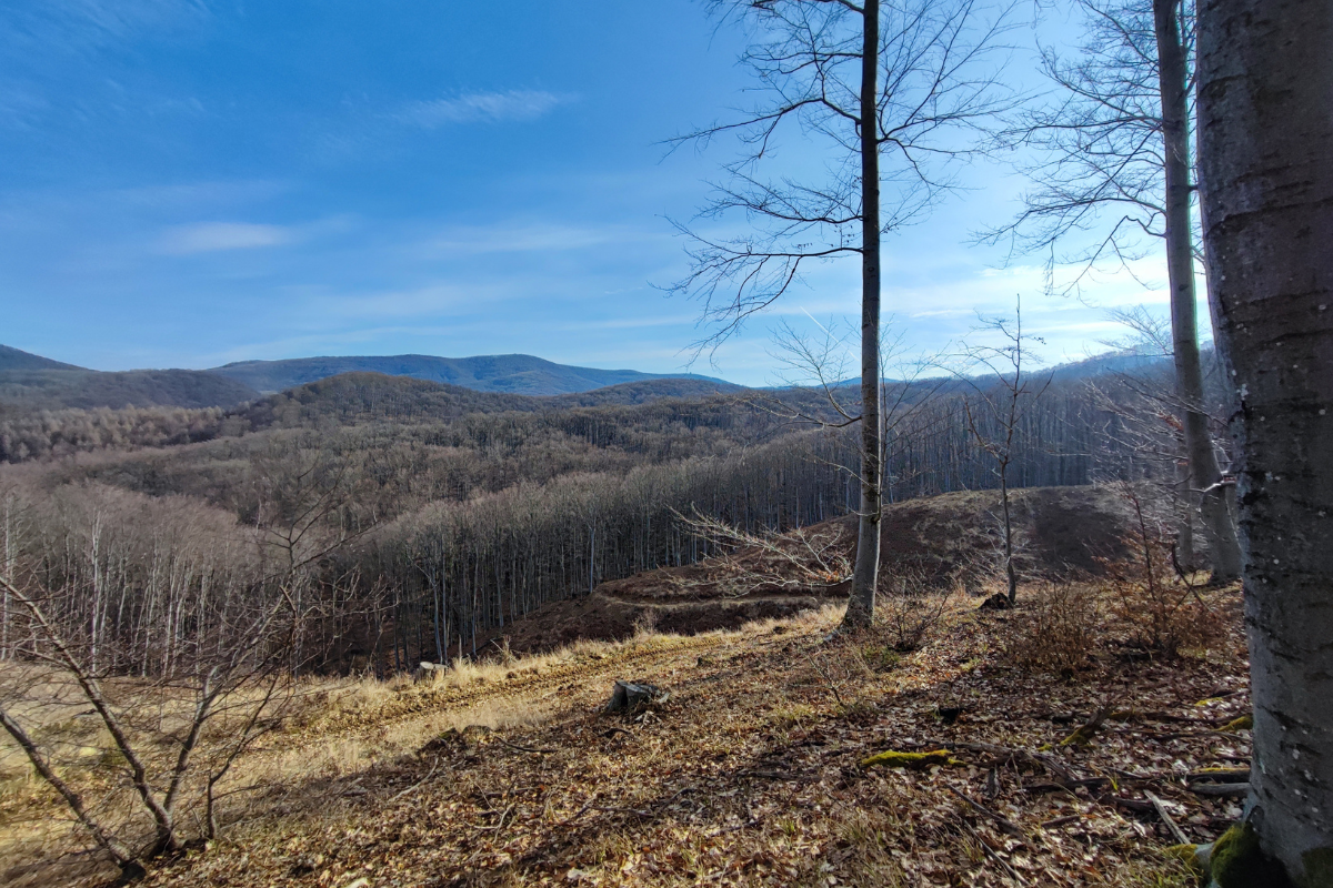 honlap_galéria - 2023-09-23T224039