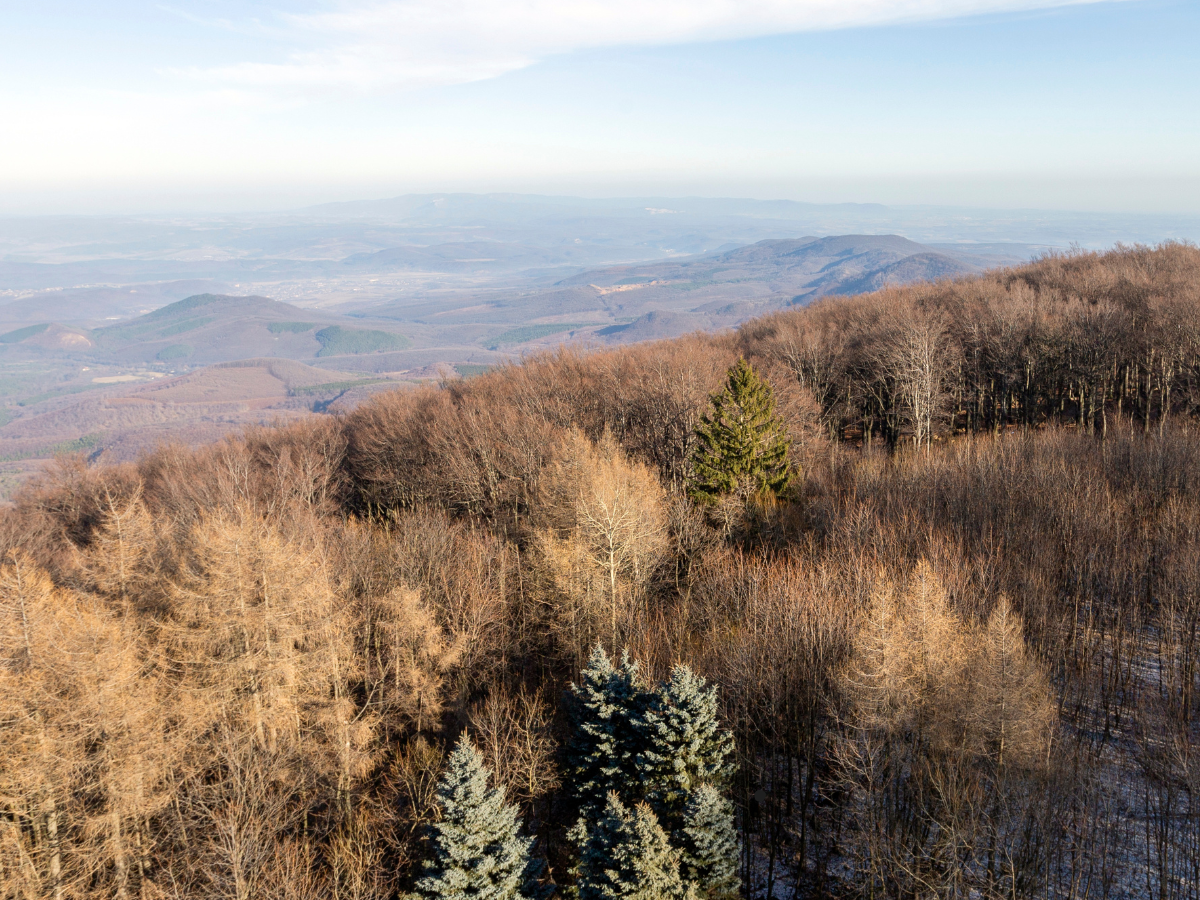 honlap_galéria_1200x900555