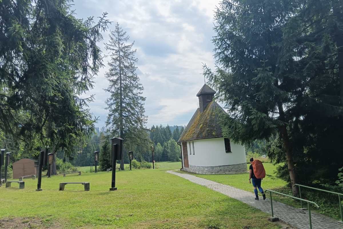 honlap_galéria_104 (12)