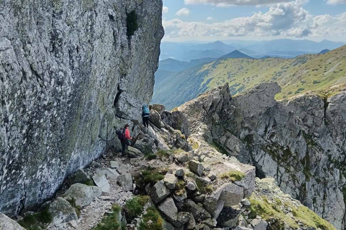 honlap_galéria_104 (13)