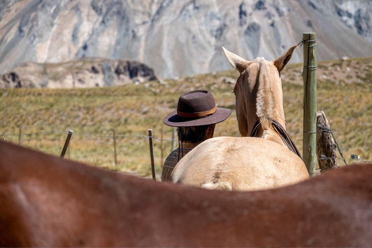 Argentína - Amerika legmagasabb csúcsától a legnagyobb vízesésig Argentína - Amerika legmagasabb csúcsától a legnagyobb vízesésig