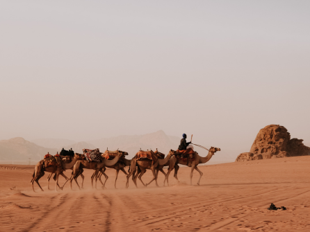 Jordánia: A legsósabb tengertől, kanyonokon át a sivatagig Jordánia: A legsósabb tengertől, kanyonokon át a sivatagig