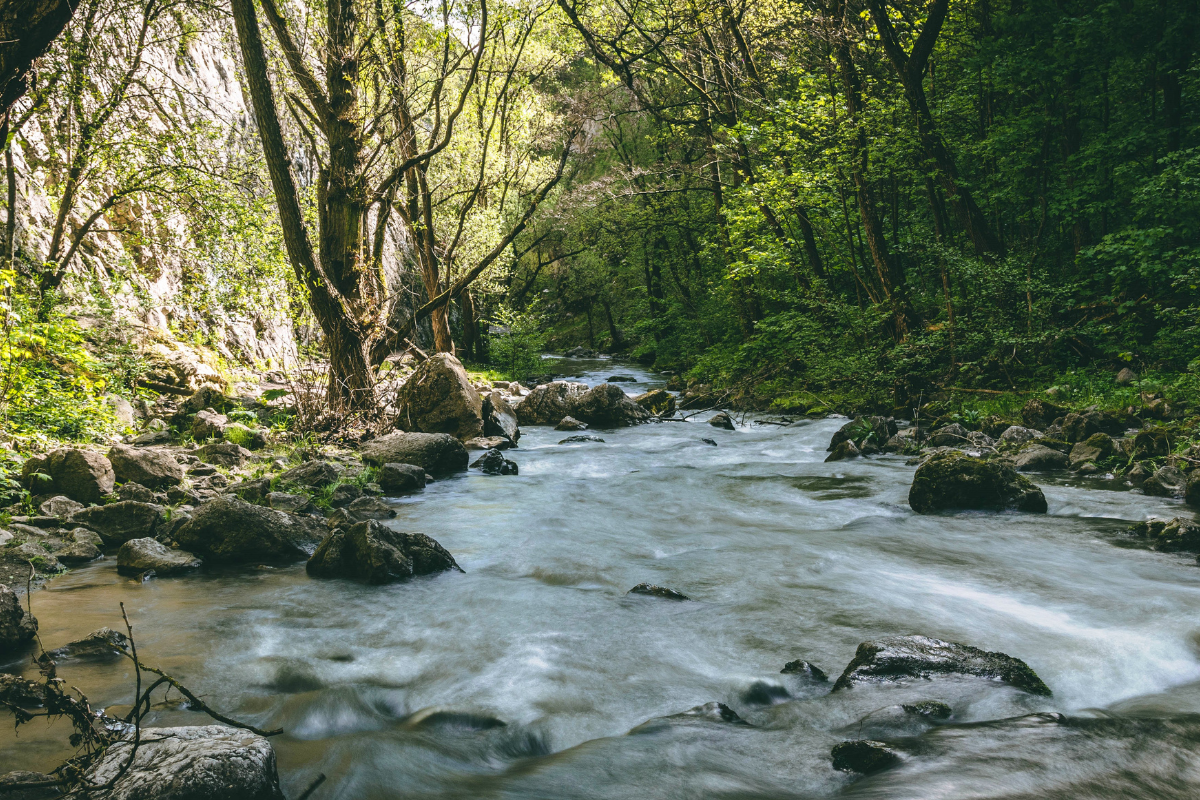Szár-patak a Szádelői-völgyben szlovák karszt 1