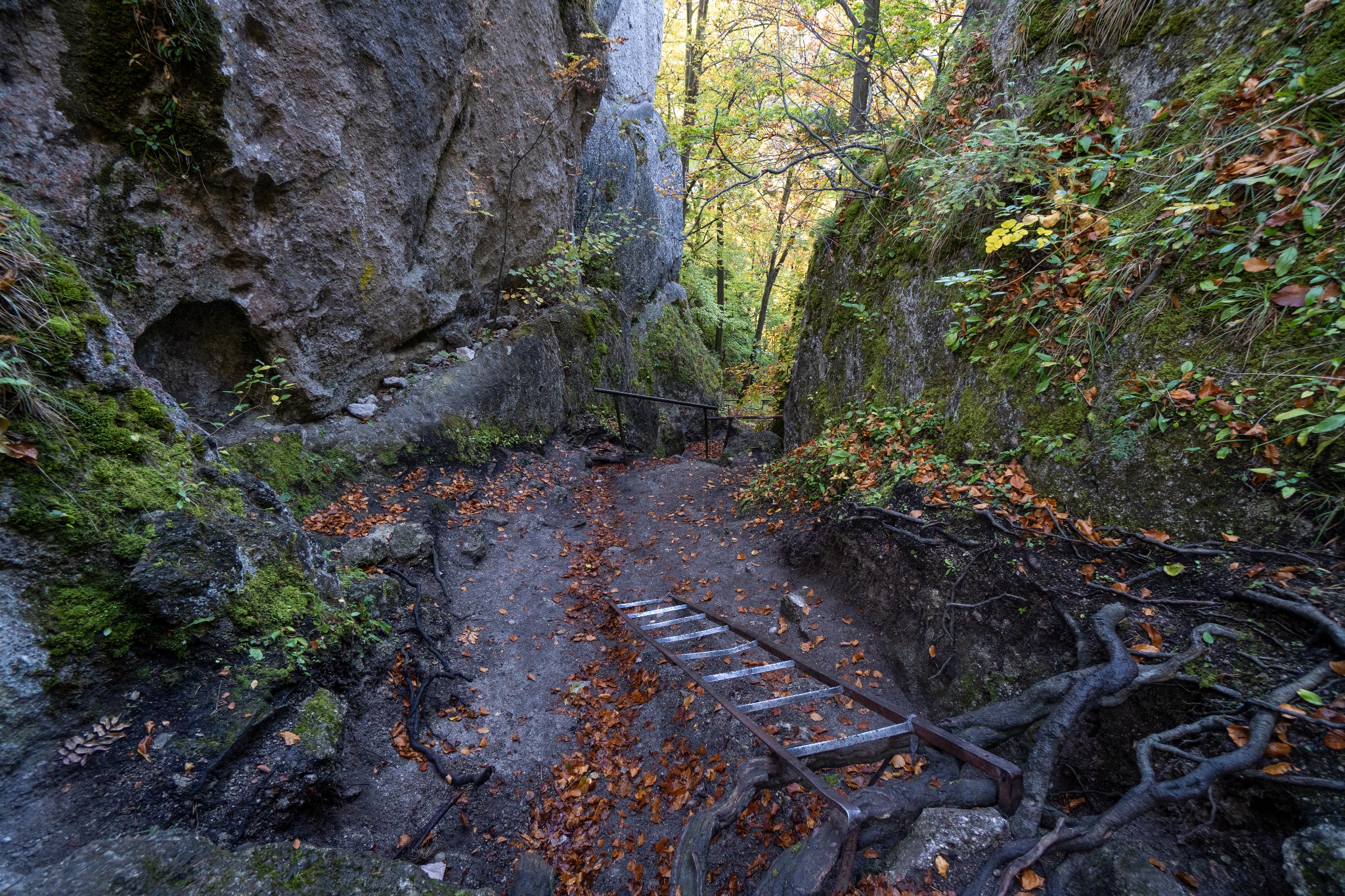 Túraútvonal fel a várba lépcsők a Szulyói várhoz